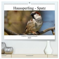 Haussperling - Spatz fotografiert von Ostfriesenfotografie (hochwertiger Premium Wandkalender 2025 DIN A2 quer), Kunstdruck in Hochglanz