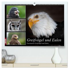 Greifvögel und Eulen (hochwertiger Premium Wandkalender 2025 DIN A2 quer), Kunstdruck in Hochglanz - Calvendo;Trimbach, Jürgen