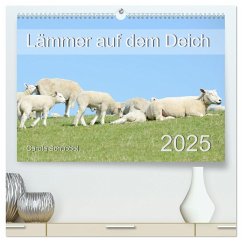 Lämmer auf dem Deich (hochwertiger Premium Wandkalender 2025 DIN A2 quer), Kunstdruck in Hochglanz
