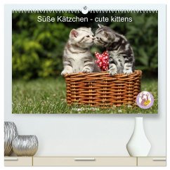 Süße Kätzchen - cute kittens (hochwertiger Premium Wandkalender 2025 DIN A2 quer), Kunstdruck in Hochglanz