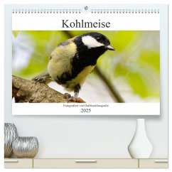 Kohlmeise - Fotografiert von Ostfriesenfotografie (hochwertiger Premium Wandkalender 2025 DIN A2 quer), Kunstdruck in Hochglanz