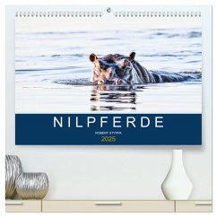 Nilpferde, Kolosse in Afrika (hochwertiger Premium Wandkalender 2025 DIN A2 quer), Kunstdruck in Hochglanz