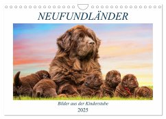 Neufundländer - Bilder aus der Kinderstube (Wandkalender 2025 DIN A4 quer), CALVENDO Monatskalender