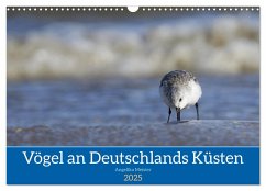 Vögel an Deutschlands Küsten (Wandkalender 2025 DIN A3 quer), CALVENDO Monatskalender - Calvendo;Meister, Angelika