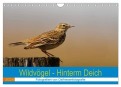 Wildvögel - Hinterm Deich (Wandkalender 2025 DIN A4 quer), CALVENDO Monatskalender