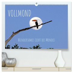 Vollmond: Wundersames Licht des Mondes (hochwertiger Premium Wandkalender 2025 DIN A2 quer), Kunstdruck in Hochglanz - Calvendo