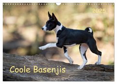 Coole Basenjis (Wandkalender 2025 DIN A3 quer), CALVENDO Monatskalender