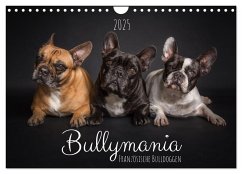 Bullymania - Französische Bulldoggen (Wandkalender 2025 DIN A4 quer), CALVENDO Monatskalender