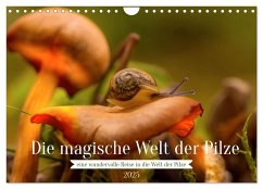 Die magische Welt der Pilze (Wandkalender 2025 DIN A4 quer), CALVENDO Monatskalender