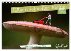 Höher, schneller, kleiner - Miniaturen in unserem Alltag (Wandkalender 2025 DIN A3 quer), CALVENDO Monatskalender