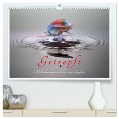 Getropft (hochwertiger Premium Wandkalender 2025 DIN A2 quer), Kunstdruck in Hochglanz