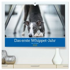 Das erste Whippet-Jahr (hochwertiger Premium Wandkalender 2025 DIN A2 quer), Kunstdruck in Hochglanz