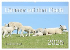 Lämmer auf dem Deich (Wandkalender 2025 DIN A2 quer), CALVENDO Monatskalender