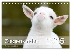 Ziegenkinder (Tischkalender 2025 DIN A5 quer), CALVENDO Monatskalender - Calvendo;Schubbel, Carola