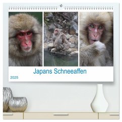 Japans Schneeaffen (hochwertiger Premium Wandkalender 2025 DIN A2 quer), Kunstdruck in Hochglanz