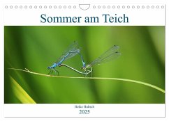 Sommer am Teich (Wandkalender 2025 DIN A4 quer), CALVENDO Monatskalender