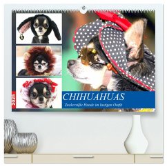 Chihuahuas. Zuckersüße Hunde im lustigen Outfit (hochwertiger Premium Wandkalender 2025 DIN A2 quer), Kunstdruck in Hochglanz