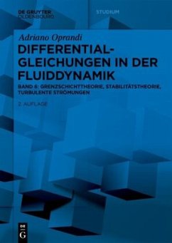Differentialgleichungen in der Fluiddynamik - Oprandi, Adriano