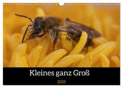 Kleines ganz Groß (Wandkalender 2025 DIN A3 quer), CALVENDO Monatskalender