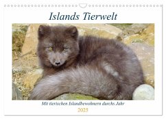 Islands Tierwelt - Mit tierischen Inselbewohnern durchs Jahr (Wandkalender 2025 DIN A3 quer), CALVENDO Monatskalender - Calvendo;Dehnhardt, Patrick