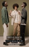 Tres Gallos (eBook, ePUB)