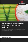 Agronomic diagnosis of the rice crop (Oriza sativa)