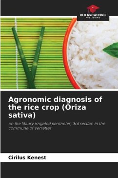 Agronomic diagnosis of the rice crop (Oriza sativa) - Kenest, Cirilus