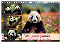 Cozy giant panda (Wall Calendar 2025 DIN A4 landscape), CALVENDO 12 Month Wall Calendar