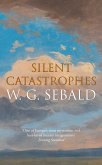 Silent Catastrophes (eBook, ePUB) Silent Catastrophes (eBook, ePUB)