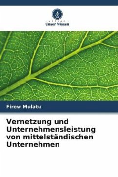 Vernetzung und Unternehmensleistung von mittelständischen Unternehmen - Mulatu, Firew