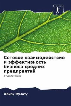 Setewoe wzaimodejstwie i äffektiwnost' biznesa srednih predpriqtij - Mulatu, Fajru