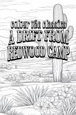 EXCLUSIVE COLORING BOOK Edition of Bret Harte's A Drift from Redwood Camp