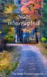 chaos interrupted - Bild 1