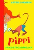 Pippi Fhad-stocainneach (eBook, ePUB)