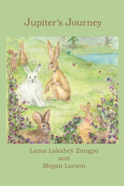 Jupiter's Journey Jupiter's Journey