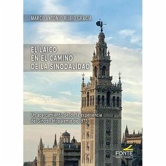Cover El laicado en el camino de la sinodalidad
