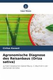 Agronomische Diagnose des Reisanbaus (Oriza sativa)