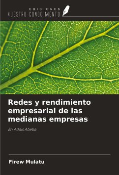 Cover Redes y rendimiento empresarial de las medianas empresas