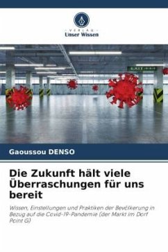 Die Zukunft hält viele Überraschungen für uns bereit - DENSO, Gaoussou