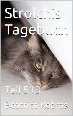 Strolchis Tagebuch - Teil 513 (eBook, ePUB) - Kobras, Beatrice