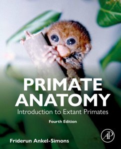 Primate Anatomy (eBook, ePUB) - Ankel-Simons, Friderun