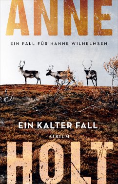 Ein kalter Fall (eBook, ePUB) - Holt, Anne