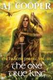 The One True King (Enchanted Forest, #7) (eBook, ePUB) The One True King (Enchanted Forest, #7) (eBook, ePUB)