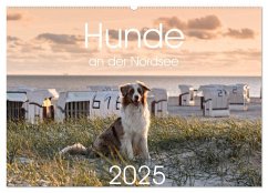 Hunde an der Nordsee (Wandkalender 2025 DIN A2 quer), CALVENDO Monatskalender - Calvendo;Bollich, Heidi