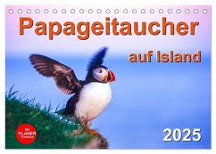 Papageitaucher auf Island (Tischkalender 2025 DIN A5 quer), CALVENDO Monatskalender