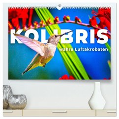 Kolibris - wahre Luftakrobaten (hochwertiger Premium Wandkalender 2025 DIN A2 quer), Kunstdruck in Hochglanz - Calvendo;Monkey, Happy