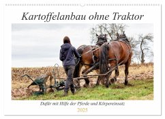 Kartoffelanbau ohne Traktor (Wandkalender 2025 DIN A2 quer), CALVENDO Monatskalender