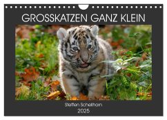 GROSSKATZEN GANZ KLEIN (Wandkalender 2025 DIN A4 quer), CALVENDO Monatskalender
