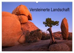 Versteinerte Landschaft (Wandkalender 2025 DIN A2 quer), CALVENDO Monatskalender