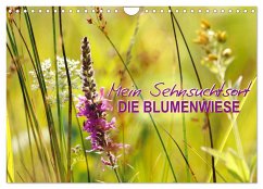 Mein Sehnsuchtsort, die Blumenwiese (Wandkalender 2025 DIN A4 quer), CALVENDO Monatskalender